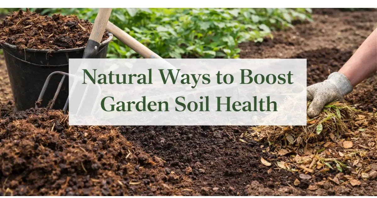 Boost Your Garden Soil Naturally A Complete Guide to Healthy Thriving-Soi
